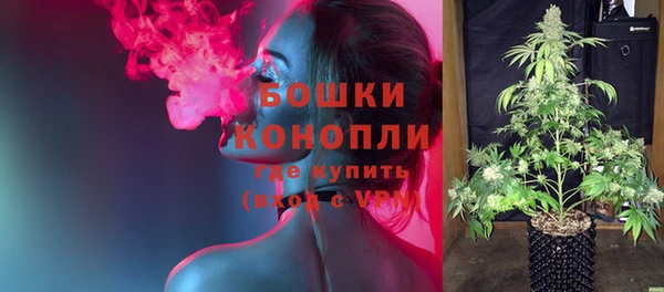 дурь Рославль
